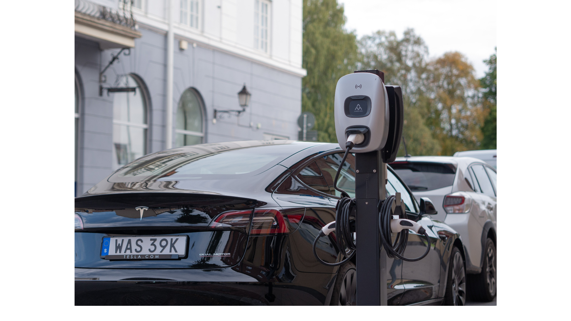 NEXT GREEN NEXT POLE