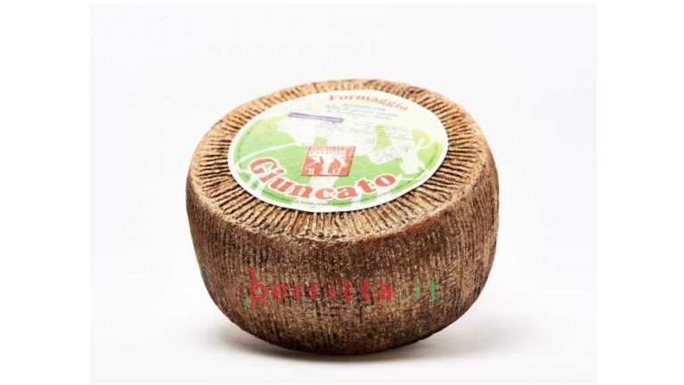 Pecorino Giuncato cheese
