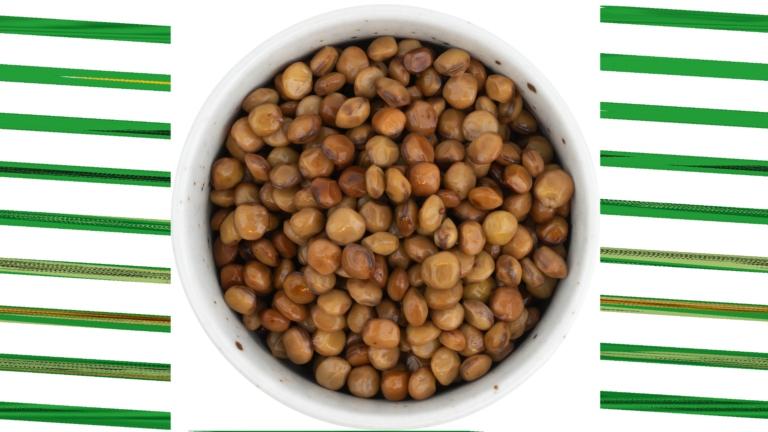 DAVA Fermented Legumes