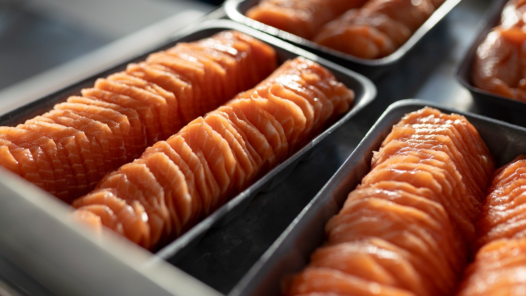 Färdigskuren lax för nigiri och maki!