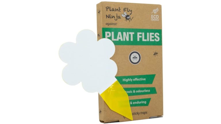 Super Ninja – Plant Fly trap