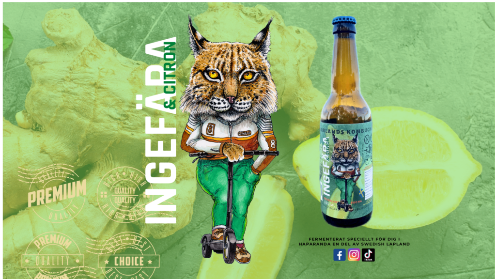ingefära