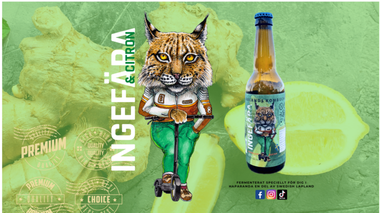 ingefära