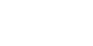 3DP logo White