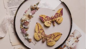 Butterfly frames