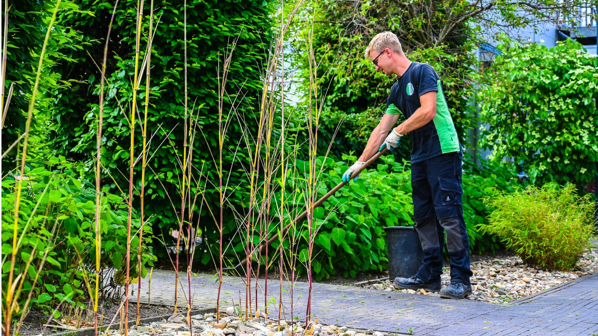 Medewerker hovenier in Tiel