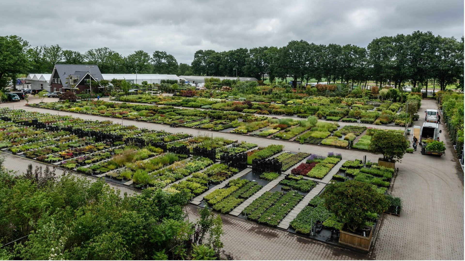 ‘VeluwePlant als eerste aangesloten in plantenbank Suite MKB’