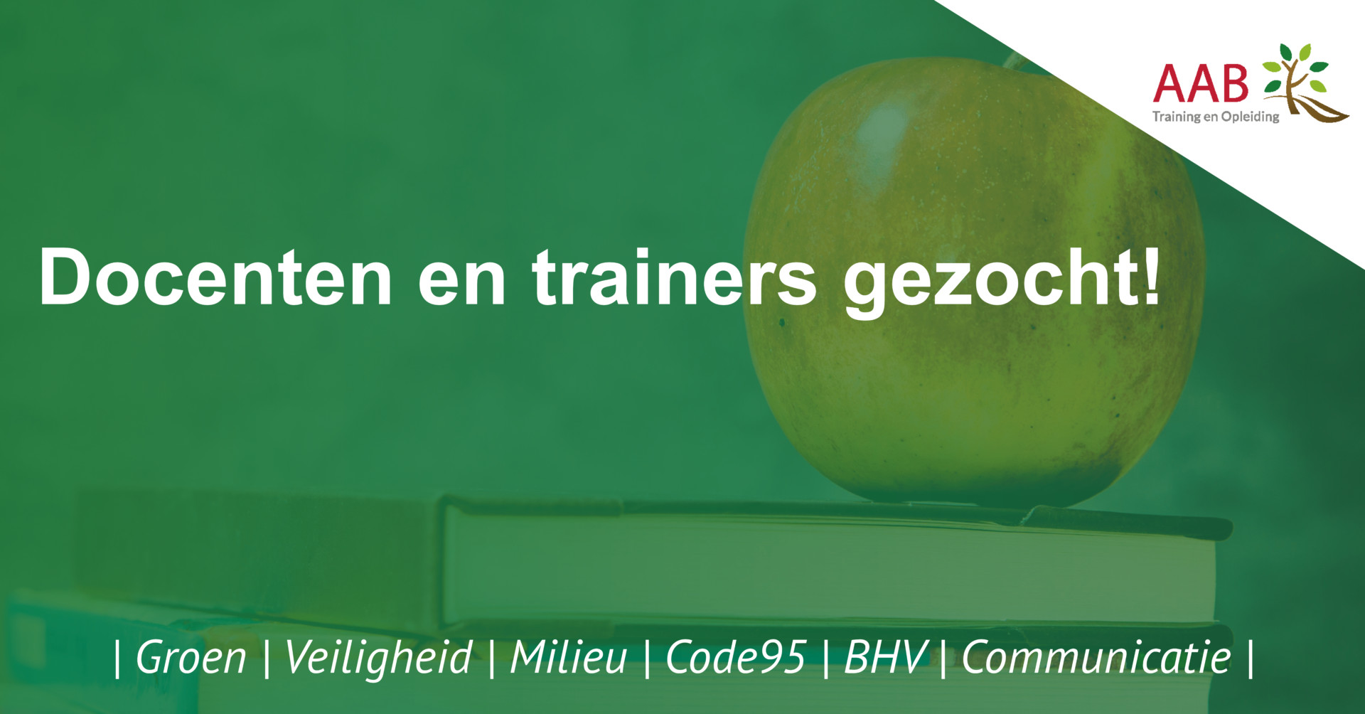 Ben je trainer of docent?