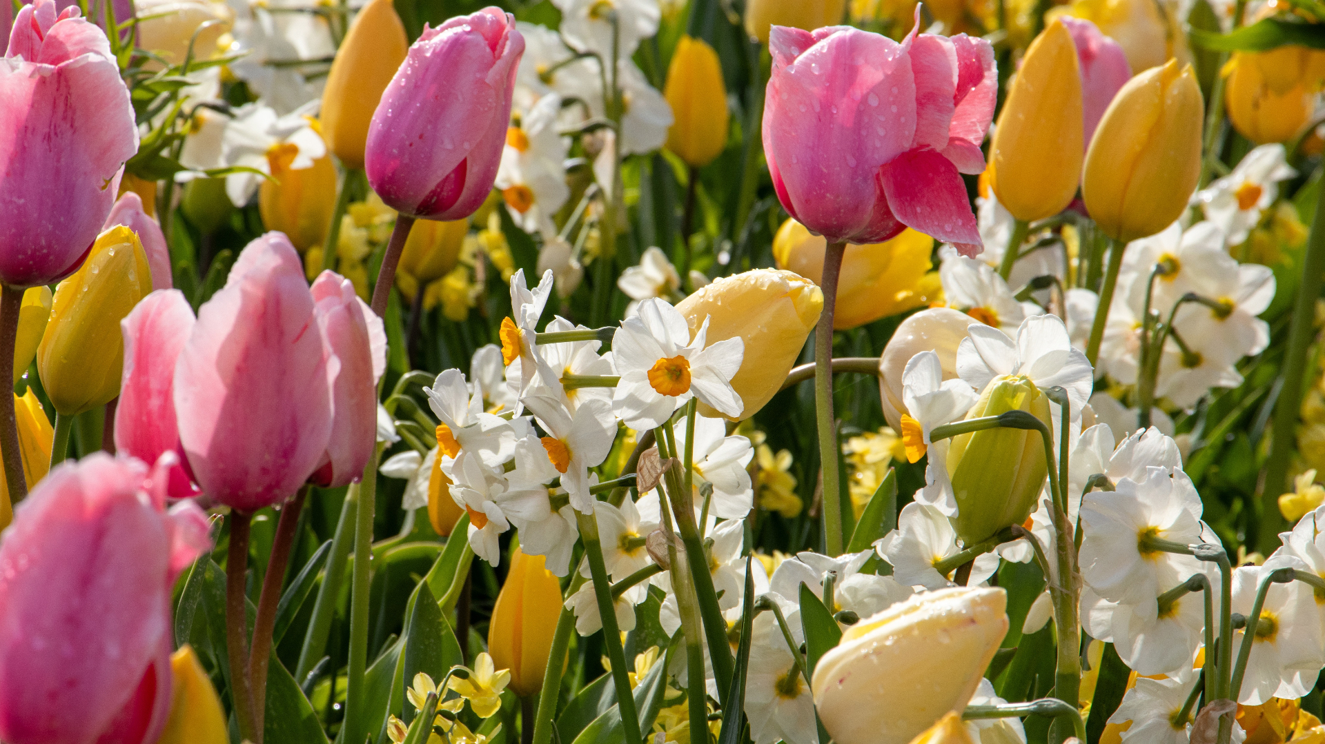 Klantspecifieke mengsels op aanvraag