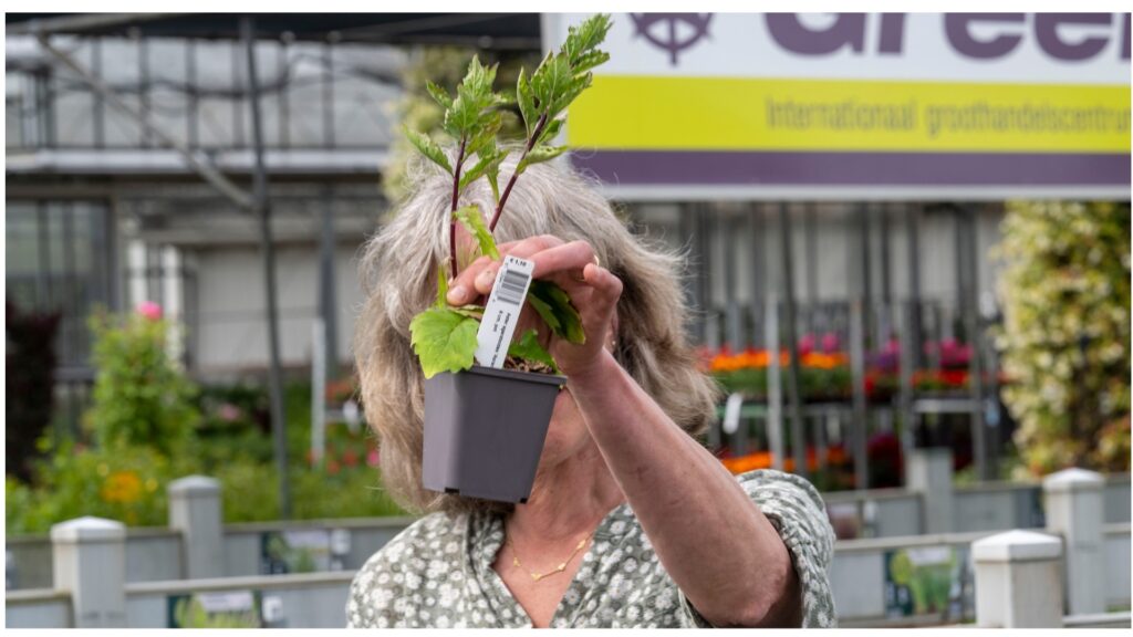 Toegepaste Beplantingsleer