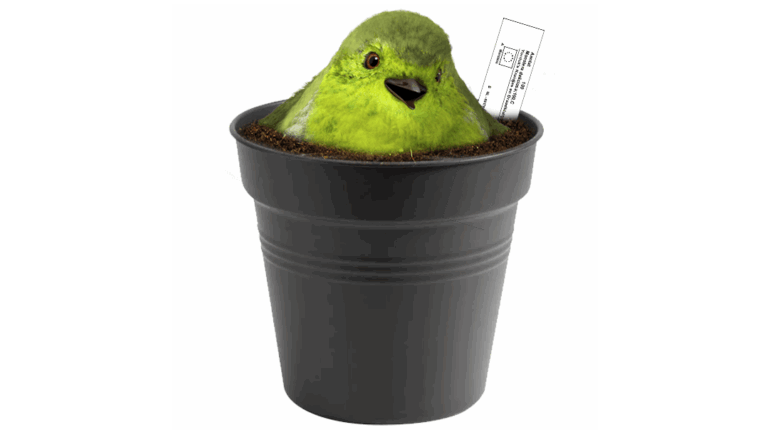 Vision-Kenmerken, voor het maken van beplantingsplannen