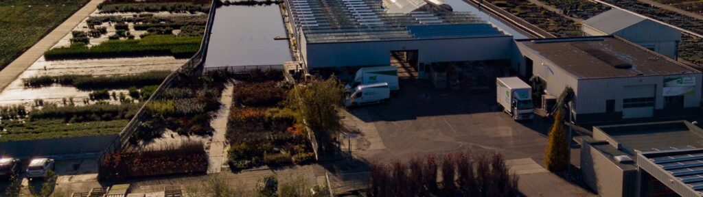 Antoon Rijnbeek Handelskwekerij B.V.