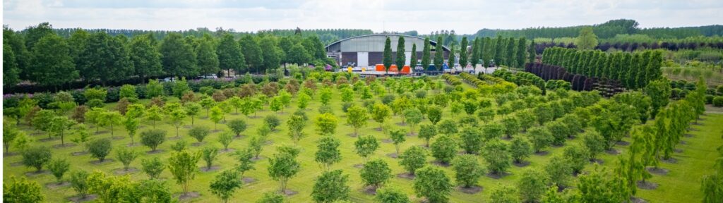 Van den Berk Boomkwekerijen