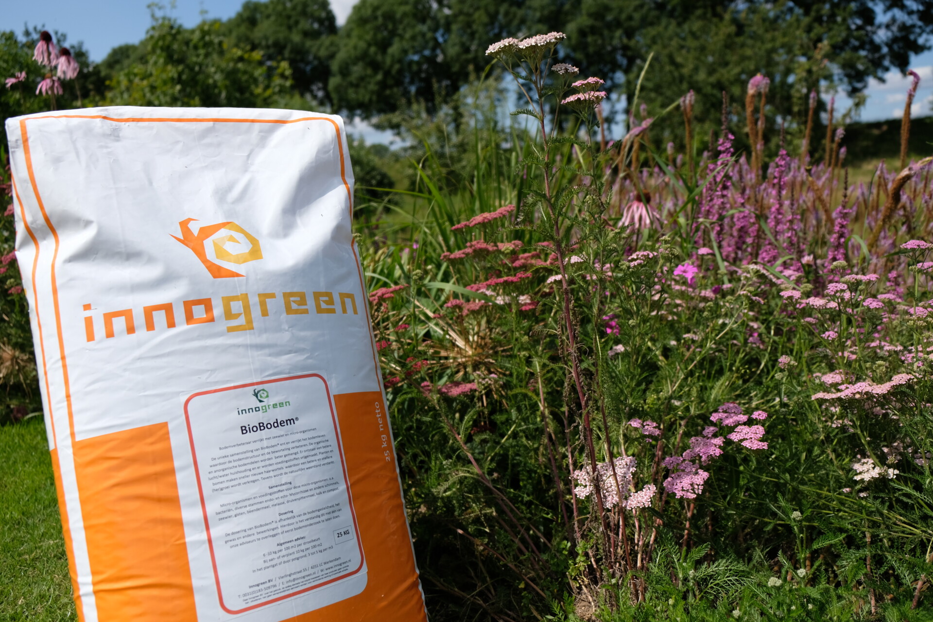 BioBodem (soil life)