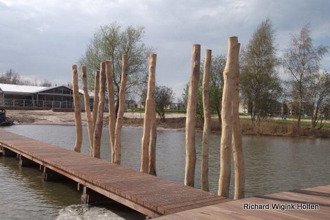 verschiedene Beiträge