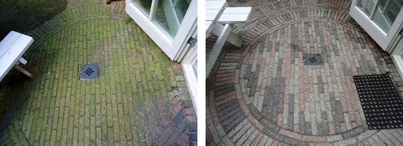 Biologische Groene Aanslag Verwijderaar