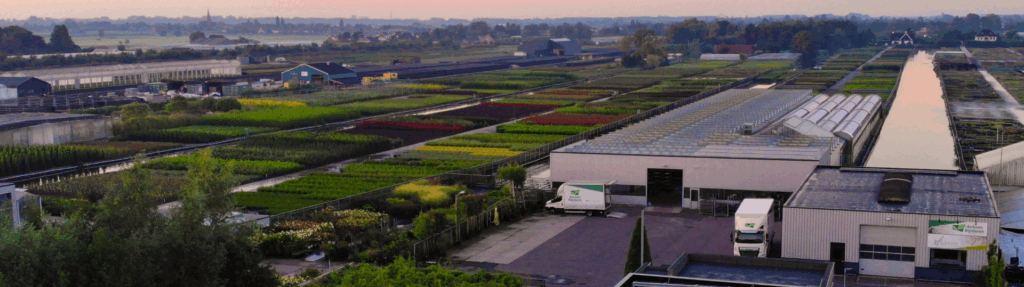 Antoon Rijnbeek Handelskwekerij B.V.