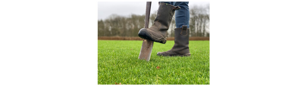 DSV Zaden Nederland BV