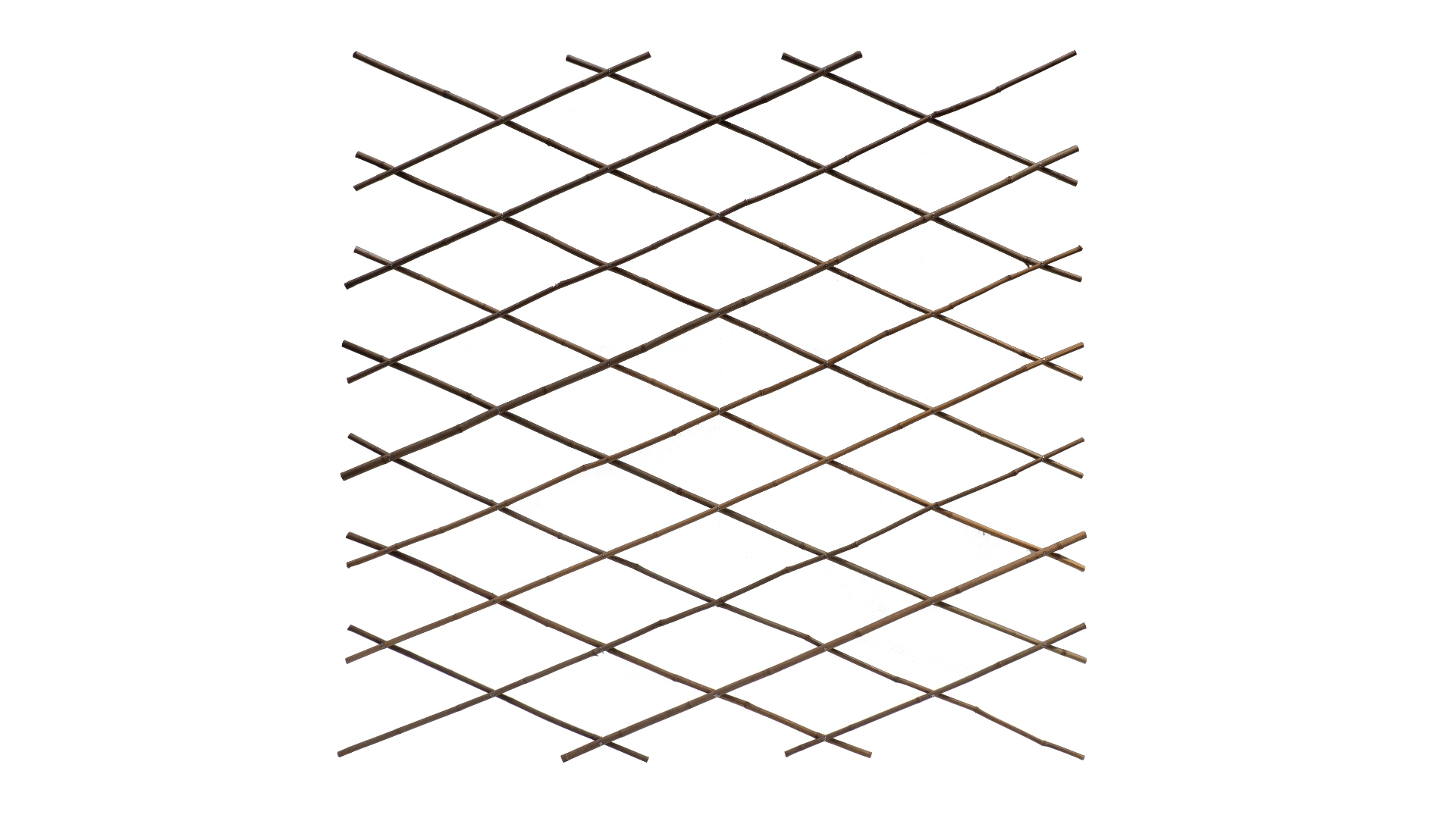 bambus harmonika trellis