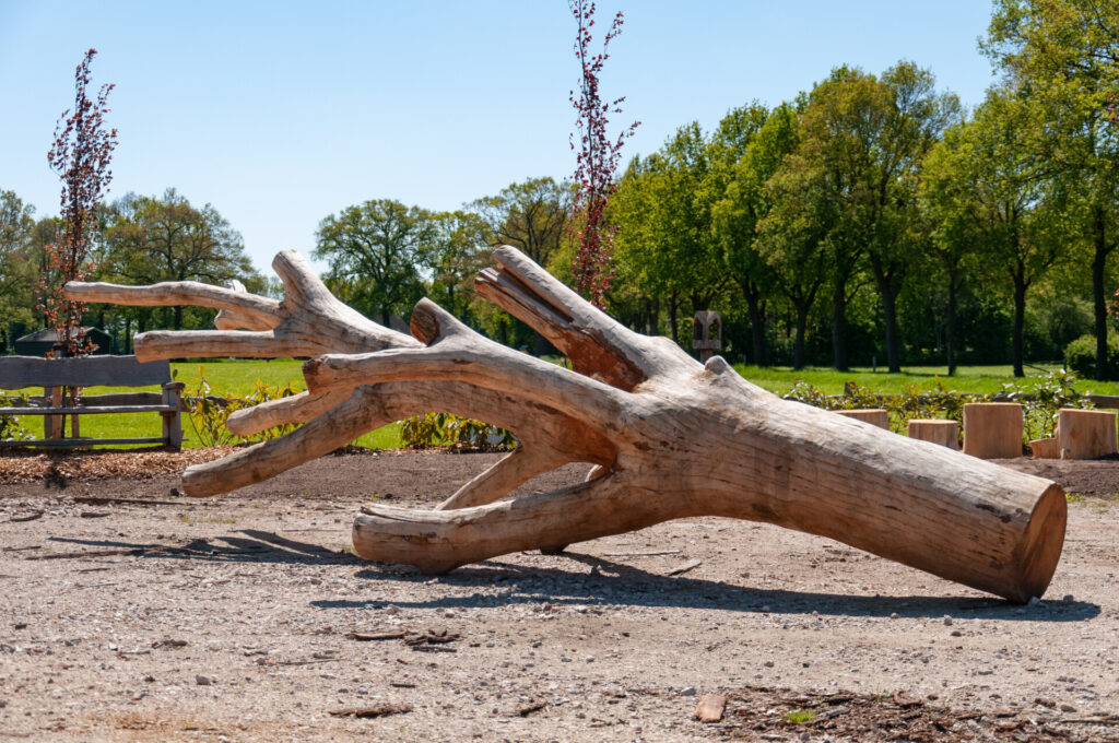 Klim en Klauterbomen