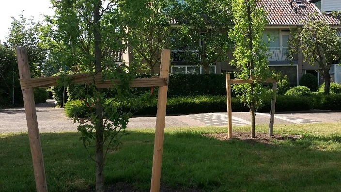 Boompalen, -banden en gietringen