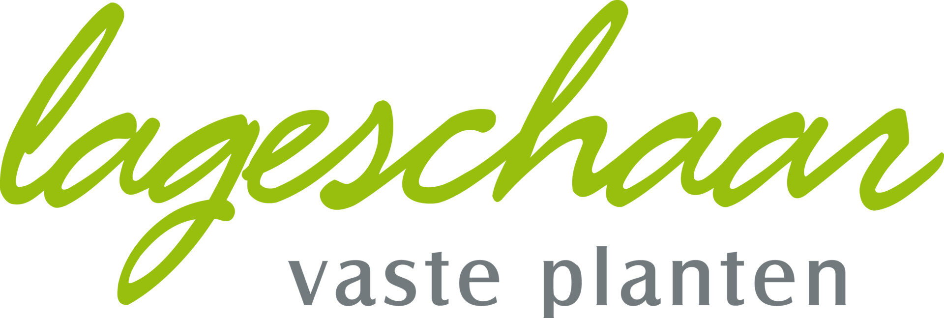 Lageschaar Vaste Planten