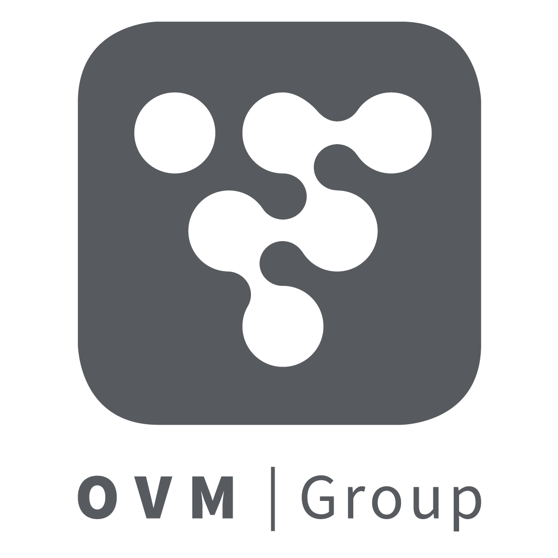 OVM Group