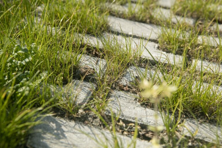 Nachhaltige Pflasterlösungen