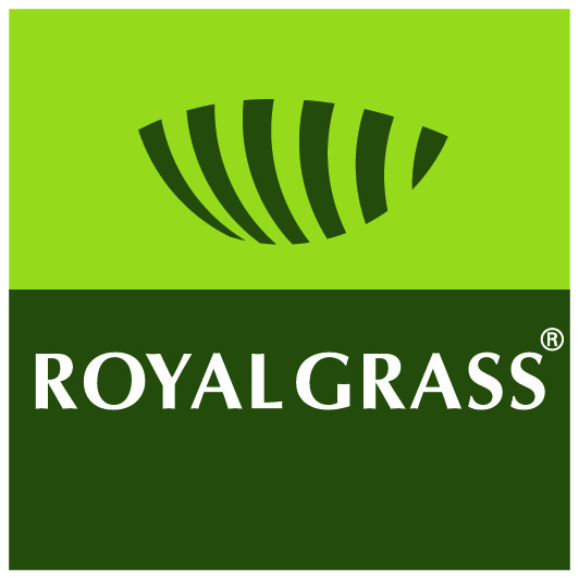 Royal Grass