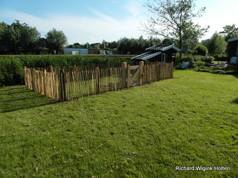 englisches Schafgitter