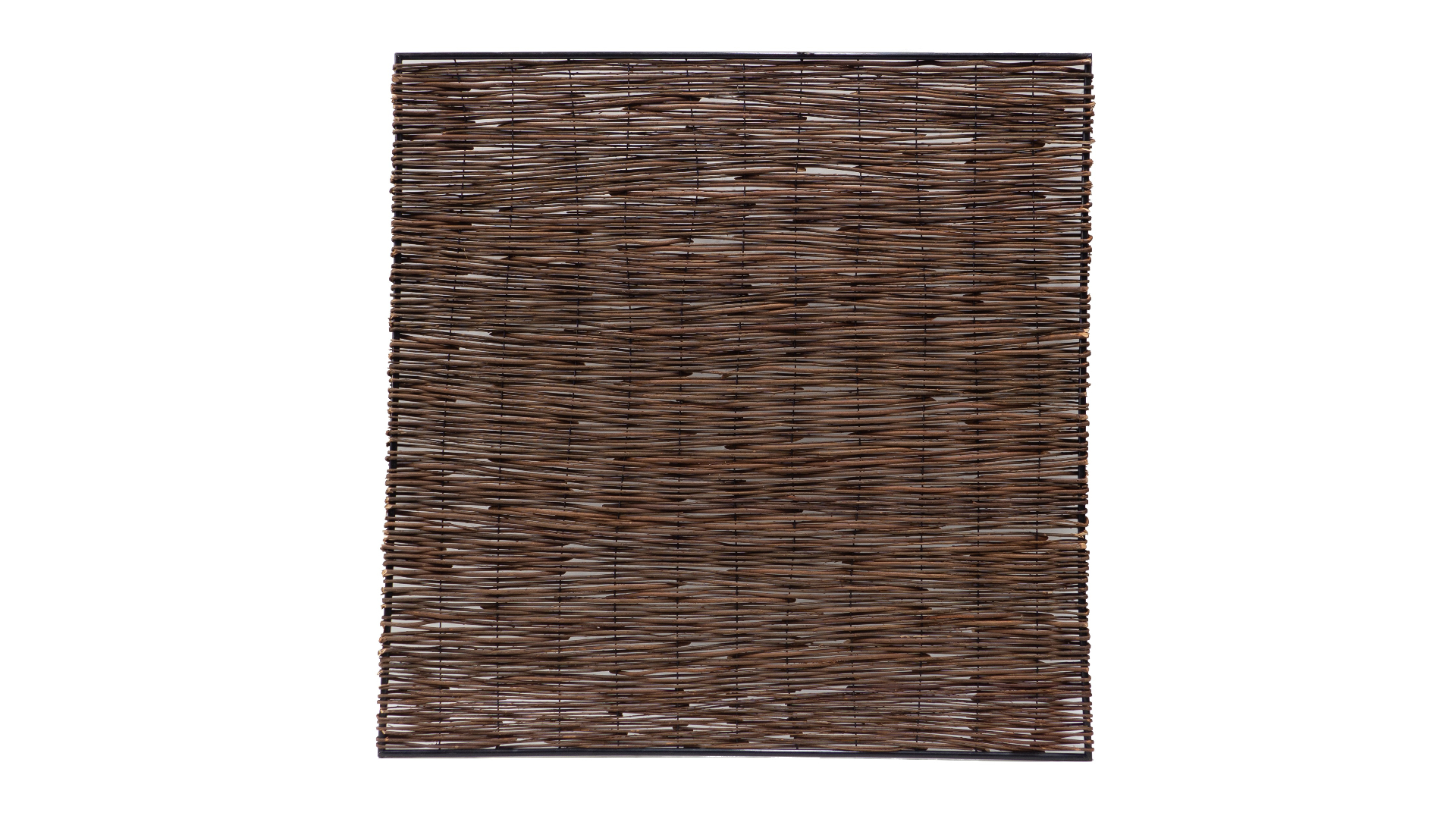 Weidenschirm Stingray