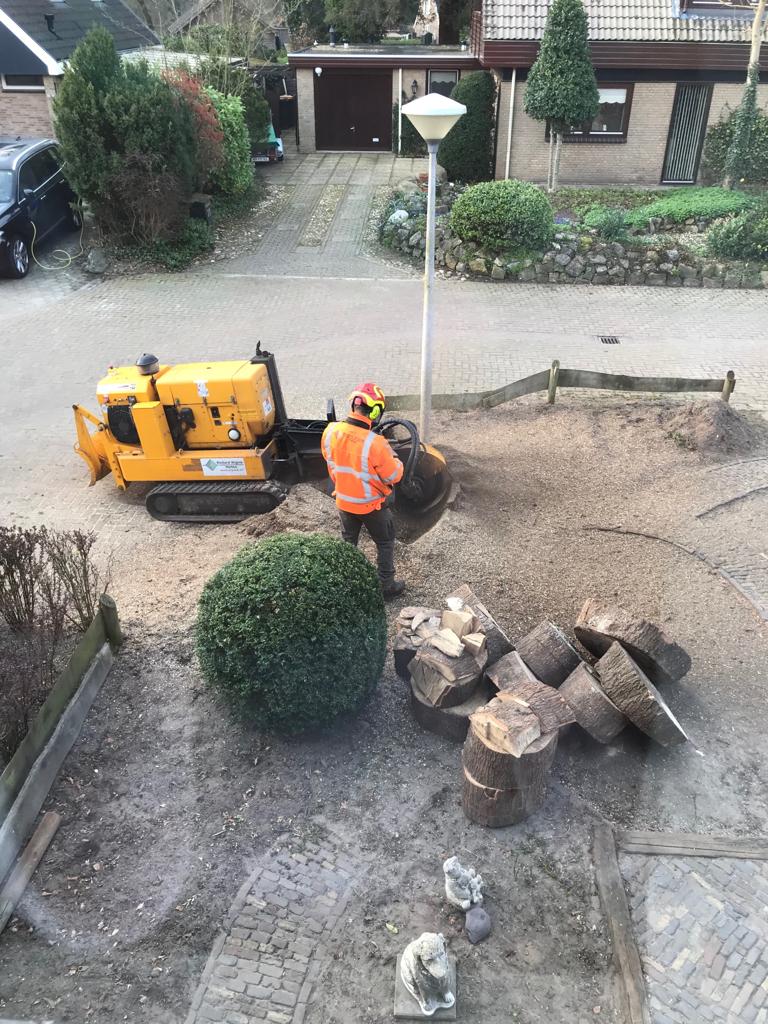 Stobben frezen op nagenoeg iedere locatie