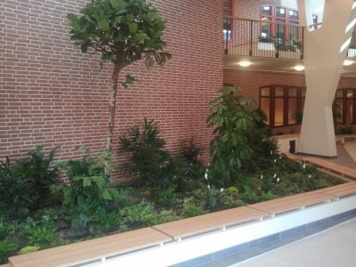 Bloem- en plantenbakken