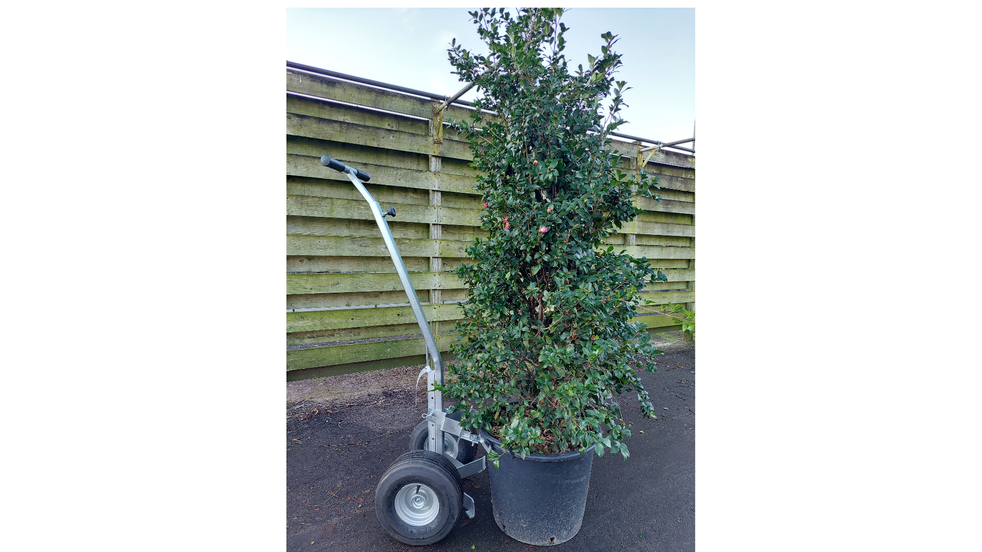 Potten transportkarren