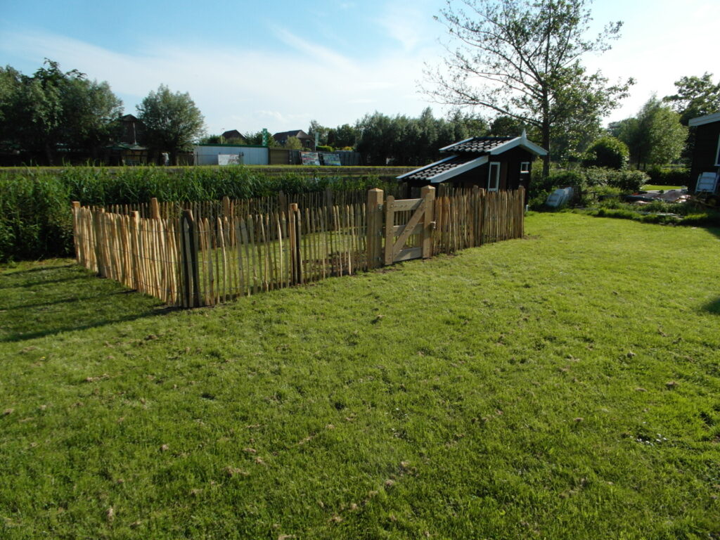 Engels schapenraster