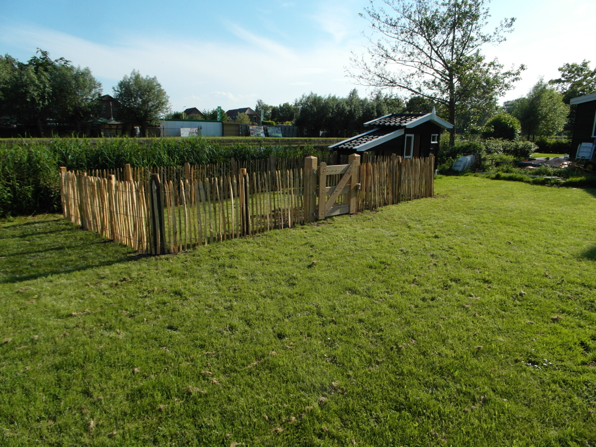 Engels schapenraster