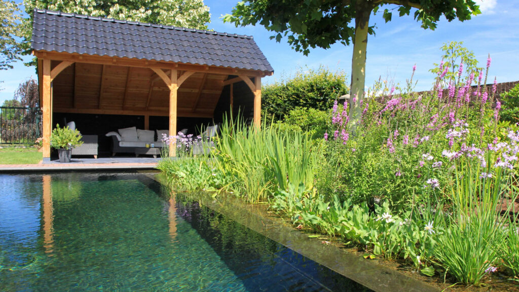 Zwemvijver aanleggen