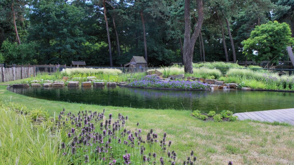 Als hovenier is het aanleggen van een mooie vijver geen enkel probleem