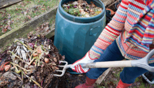 Circulaire tuinbouw voor duurzame hoveniers 2025 – compost, veenvrije potgrond en hergebruikte materialen.