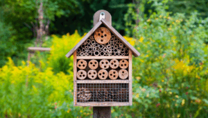Insectenhotel in een duurzame tuin – bevordert biodiversiteit en trekt nuttige insecten aan