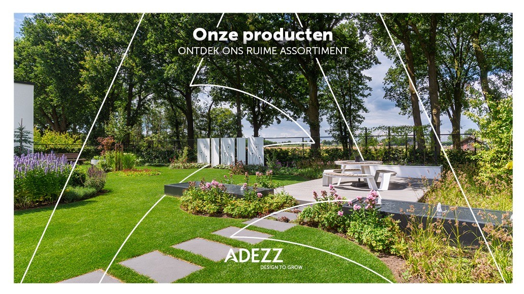 ADEZZ brochure – Ontdek ons ruime assortiment!