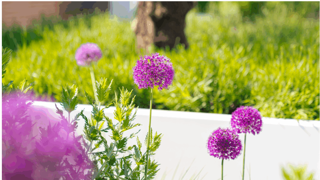 Gartengestaltung & Inspiration – Verwandeln Sie Ihren Außenbereich mit ADEZZ