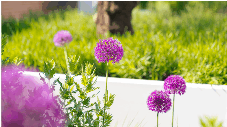 Gartengestaltung & Inspiration – Verwandeln Sie Ihren Außenbereich mit ADEZZ