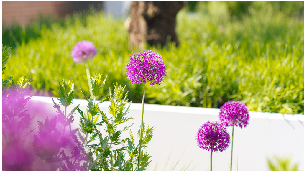 Gartengestaltung & Inspiration – Verwandeln Sie Ihren Außenbereich mit ADEZZ