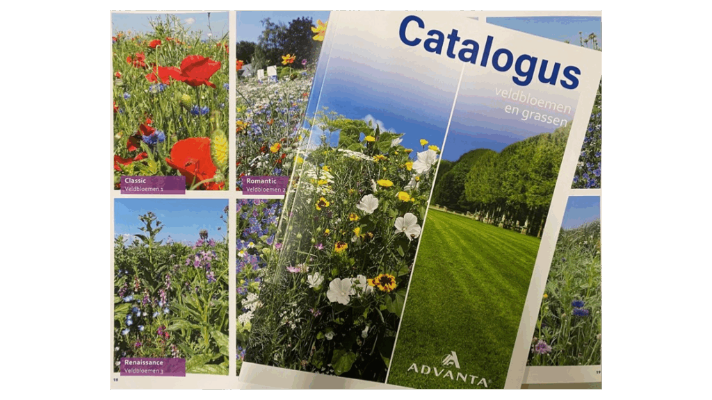 Catalogus Veldbloemen en Grassen