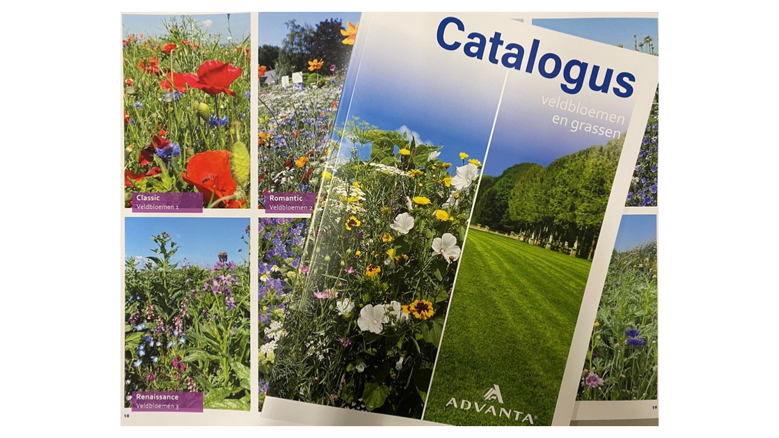 Catalogus Veldbloemen en Grassen
