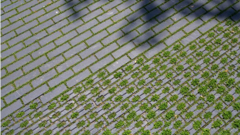 Nieuw type NCB steen: Compact