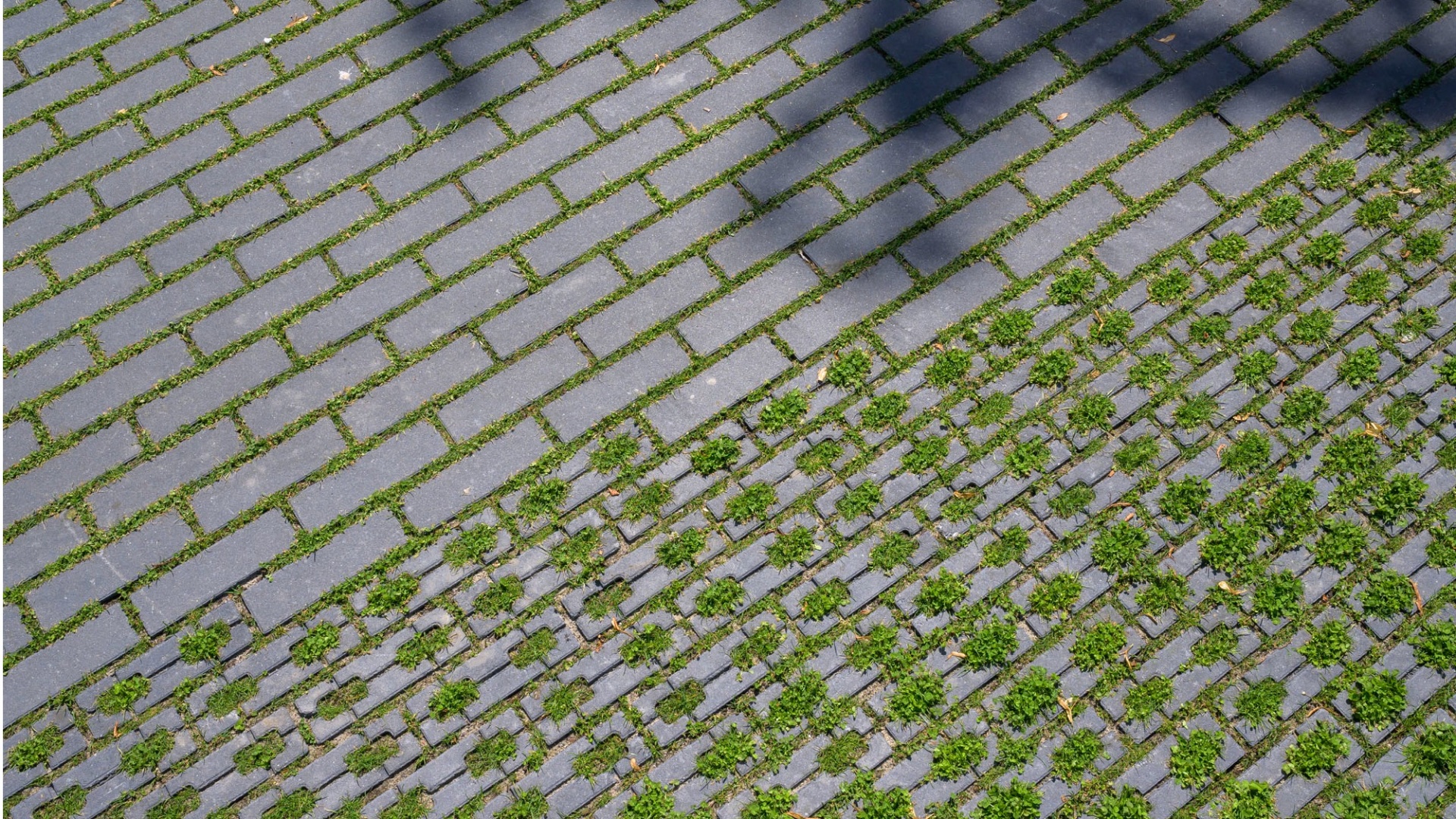 Nieuw type NCB steen: Compact