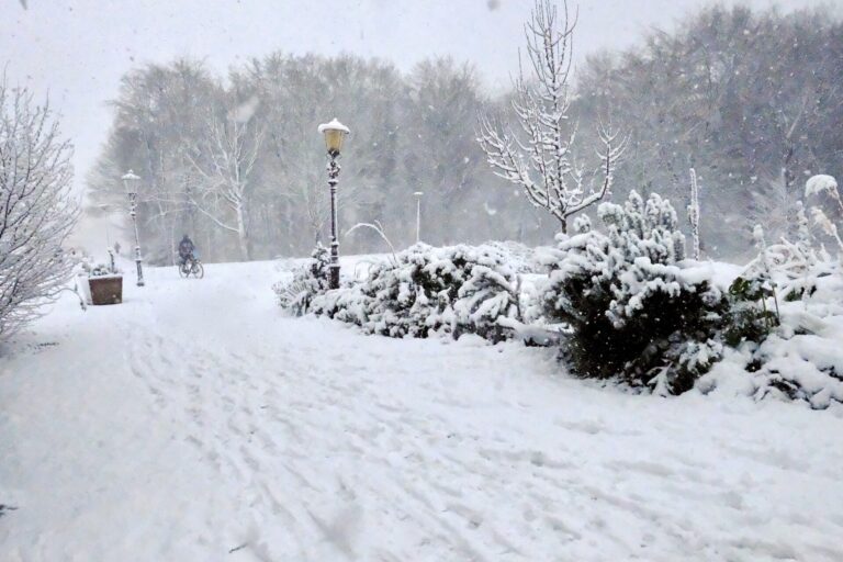 Gladheidsbestrijding