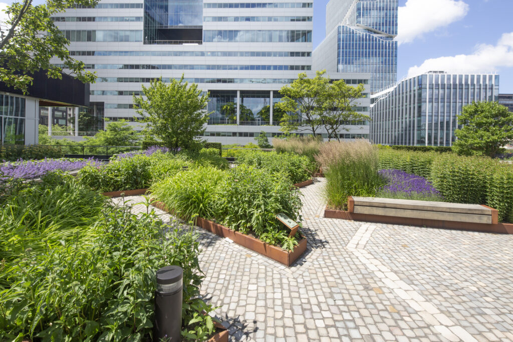 Zu Hause in allem, was mit Grün im Innen- und Außenbereich zu tun hat